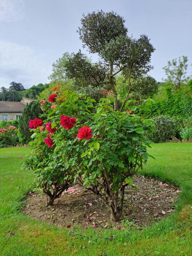 Gite 2 "Le Tilia " Aux Magnolias 3 Etoiles 欧布纳 外观 照片